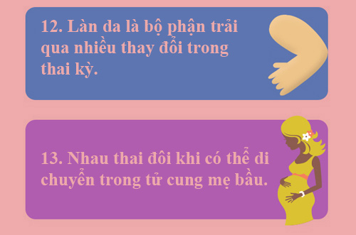 13 điều đáng ngạc nhiên về mẹ bầu và thai nhi - 6