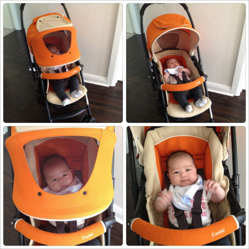 Trải nghiệm sử dụng xe đẩy Combi Well Comfort của bà mẹ trẻ - 1