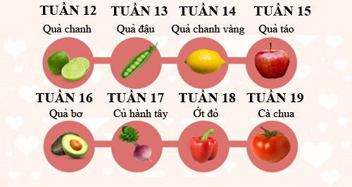 Mô tả thú vị về kích thước thai nhi trong bụng mẹ - 2