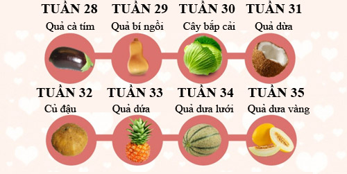 Mô tả thú vị về kích thước thai nhi trong bụng mẹ - 4