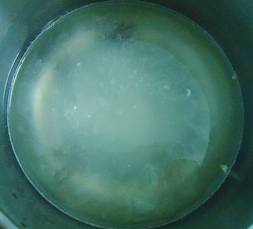 Bánh Trung thu rau câu ngũ sắc đẹp mê ly - 2