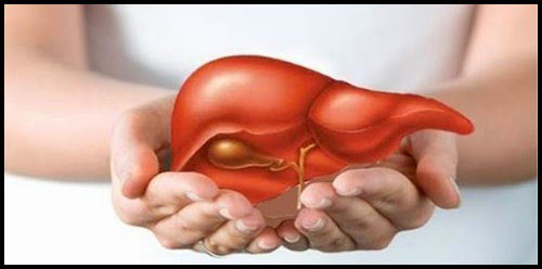 Uống trà hàng ngày bảo vệ gan khỏe mạnh - 1
