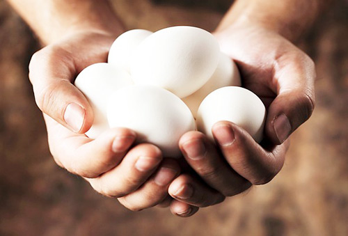 Bà bầu ăn trứng ngỗng, con sẽ thông minh? - 1