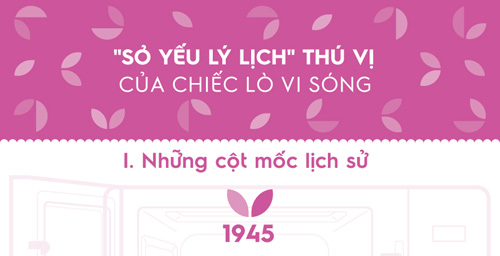 quot;Sơ yếu lý lịchquot; thú vị của chiếc lò vi sóng - 1