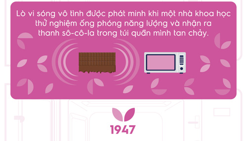 quot;Sơ yếu lý lịchquot; thú vị của chiếc lò vi sóng - 2