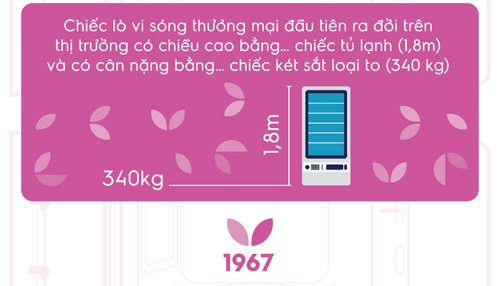 quot;Sơ yếu lý lịchquot; thú vị của chiếc lò vi sóng - 3
