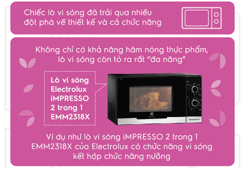 quot;Sơ yếu lý lịchquot; thú vị của chiếc lò vi sóng - 6