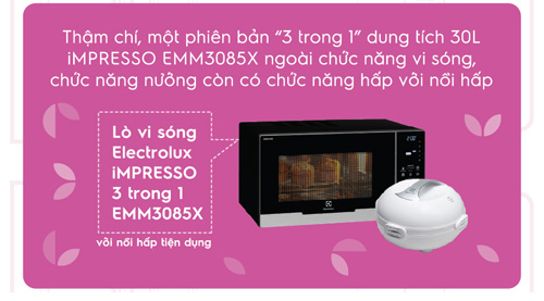quot;Sơ yếu lý lịchquot; thú vị của chiếc lò vi sóng - 7