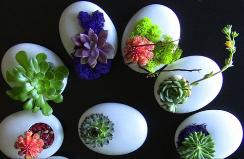 Trồng cây trong vỏ trứng - lựa chọn tuyệt vời! - 12