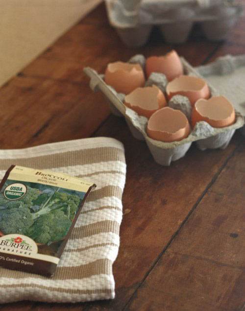 Trồng cây trong vỏ trứng - lựa chọn tuyệt vời! - 5