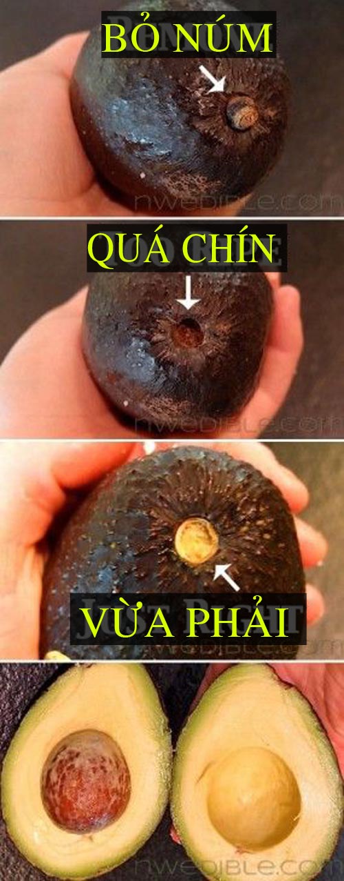 Mẹo bảo quản bơ quot;trữ cả năm vẫn tốtquot; cho bé ăn dặm - 3