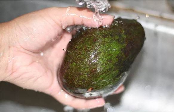 Mẹo bảo quản bơ quot;trữ cả năm vẫn tốtquot; cho bé ăn dặm - 4