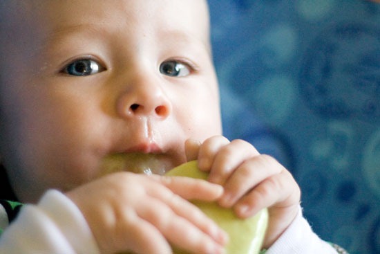 Mẹo bảo quản bơ quot;trữ cả năm vẫn tốtquot; cho bé ăn dặm - 2