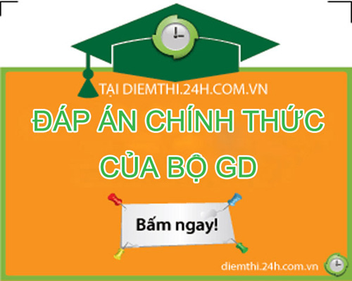 Đáp án đề thi tốt nghiệp THPT Quốc gia 2016 chính thức của Bộ GDamp;ĐT - 1