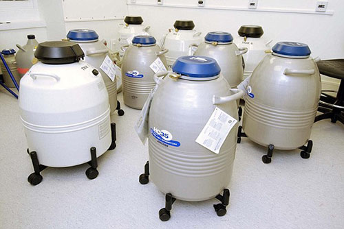 Bé gái 2 tuổi đông lạnh trứng để chuẩn bị sinh con trong tương lai - 1