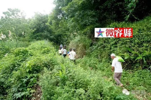 Cặp vợ chồng Trung Quốc sinh 15 con trong vòng 21 năm - 2