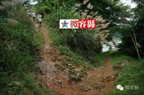 Cặp vợ chồng Trung Quốc sinh 15 con trong vòng 21 năm - 3