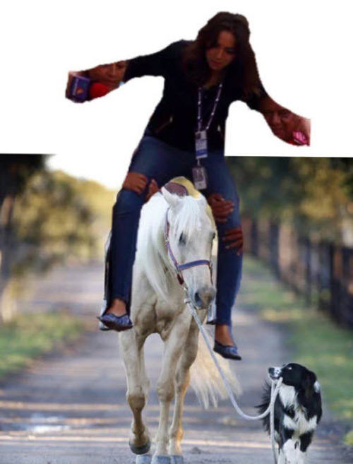 Phóng viên bị sa thải vì bắt người dân bế qua chỗ nước ngập - 3