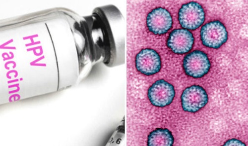 Thực hư vắc xin HPV không có hiệu quả phòng ung thư cổ tử cung - 1