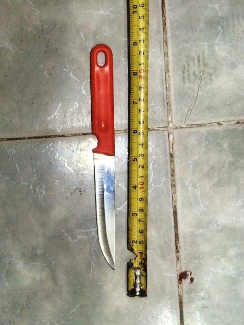 Vụ con cắt cổ cha: Bình tĩnh đi tắm, thay đồ rồi đi báo tin cho mẹ - 2
