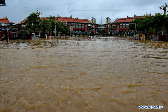 Bão Nepartak vào Trung Quốc, gần nửa triệu người sơ tán - 4