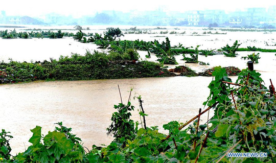 Bão Nepartak vào Trung Quốc, gần nửa triệu người sơ tán - 5