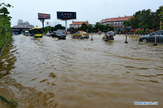 Bão Nepartak vào Trung Quốc, gần nửa triệu người sơ tán - 6