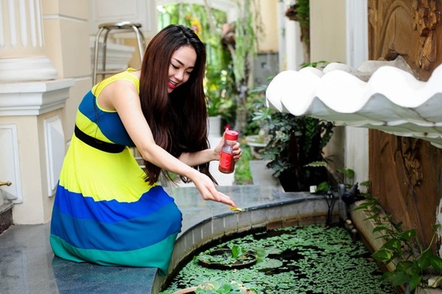Biệt thự hoành tráng của những sao Việt bị trộm vào nhà #039;khoắng#039; hàng tỷ đồng - 5