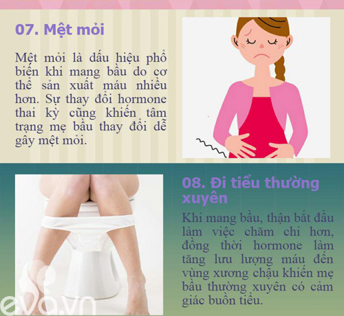 10 dấu hiệu có thai sớm nhất phụ nữ thường bỏ qua - 5