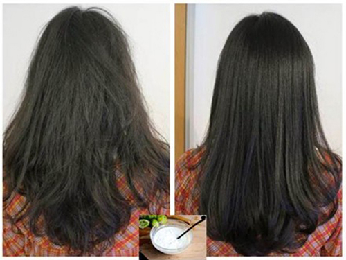 Dưỡng tóc hết khô, xơ trong 2 tuần với hỗn hợp này - 5