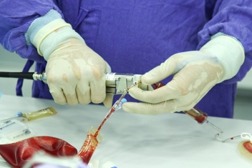 Lưu trữ máu cuống rốn - Việc bố mẹ nào cũng nên làm sau sinh - 2