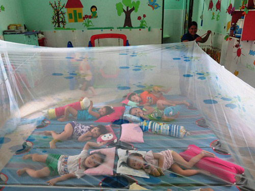 Mưa - điều kiện thuận lợi để dịch sốt xuất huyết hoành hành - 3