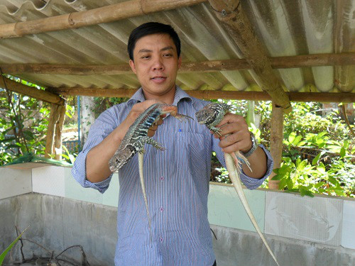 Ngưỡng mộ anh kỹ sư bỏ phố về quê làm trang trại tổng hợp thu hơn 1 tỷ đồng/năm - 1