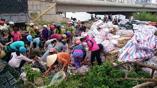 Xe tải chở trái cây bị lật ở Quảng Trị, người dân ùa vào mua giúp - 2