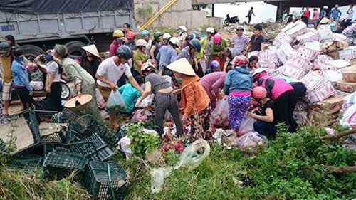 Xe tải chở trái cây bị lật ở Quảng Trị, người dân ùa vào mua giúp - 4