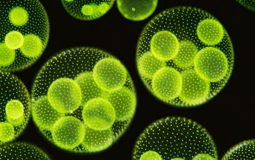 Bí quyết dưỡng da 10 năm mãi đẹp của Hoa hậu Mai Phương Thúy - 2