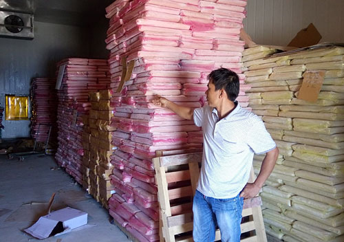 Điêu đứng vì hải sản... “đóng băng” - 1