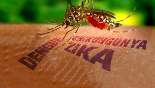 Thêm một quốc gia Đông Nam Á xác nhận có người mắc virus Zika - 1