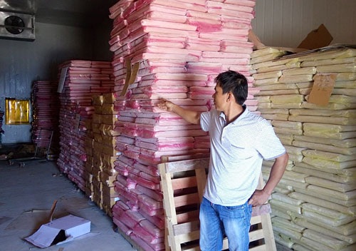4000 tấn cá đông lạnh tồn kho ở miền Trung sẽ được xử lý thế nào? - 1