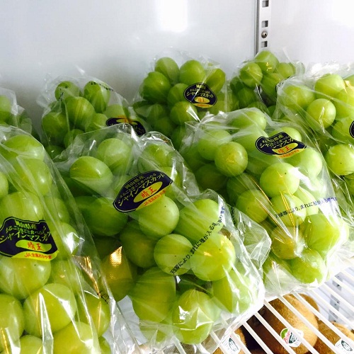 Nho Nhật tiền triệu được giới nhà giàu lùng mua - 2