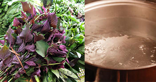 Chỉ với 1 nồi nước tía tô, da đen bẩm sinh cũng bật tone nhanh chóng - 2