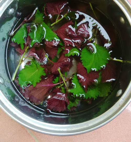 Chỉ với 1 nồi nước tía tô, da đen bẩm sinh cũng bật tone nhanh chóng - 3