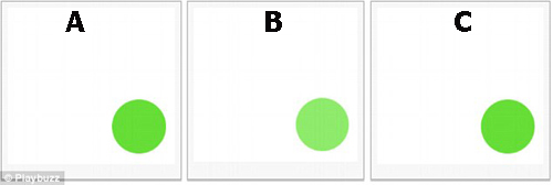 Mắt bạn chắc chắn 10/10 nếu trả lời đúng bài đố vui này - 2