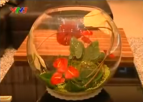 Thăm ngôi nhà Minh Thuận sinh sống trước lúc mất - 4