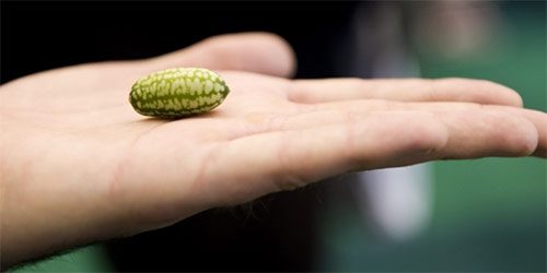 Chàng trai có quot;cậu béquot; 7cm chia sẻ cuộc đời bi thảm khi làm chuyện ấy - 1