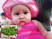 Làm mẹ - Cách làm bột chùm ngây nấu cháo thơm ngọt, giàu dinh dưỡng cho con ăn dặm của mẹ Hà Nội