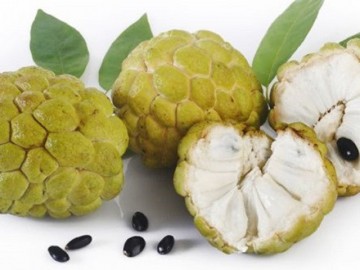 Những người nên tránh xa quả na nếu không muốn rước họa vào thân