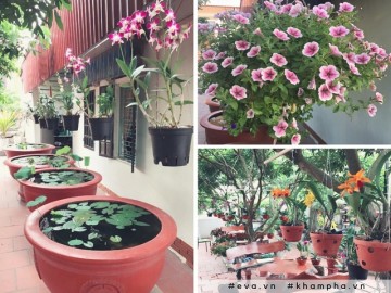 Khu vườn 200 giỏ hoa rực rỡ của mẹ Hải Dương khiến khách đến chỉ muốn ở mãi không về