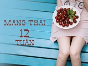Bà bầu - Thai nhi 12 tuần tuổi – dấu mốc quan trọng mẹ nào cũng cần biết