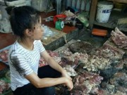 Tin tức - Vụ tạt dầu luyn trộn chất thải vào thịt lợn: Hai người phụ nữ lĩnh án 9 tháng tù treo